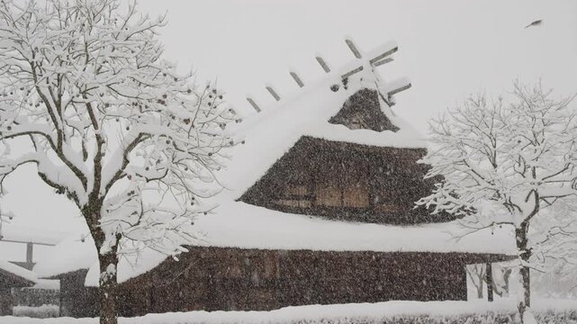 茅葺屋根の雪景色