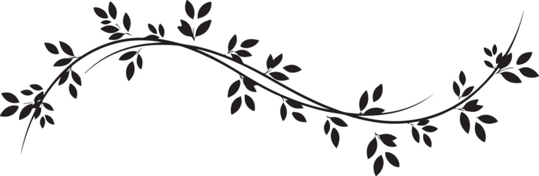 A minimalist black and white decorative floral vine element with elegant sweeping leafy branches