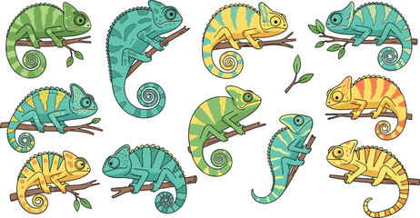 Colorful chameleon vector illustration set featuring various reptiles on branches in diverse colors for nature education wildlife conservation tropical mascot and decorative character designs. © MdGohurul