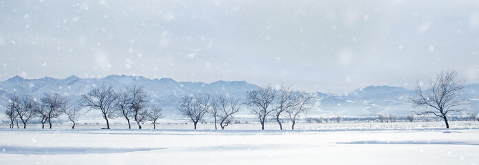 Fototapeta premium winter landscape, snowy trees against the backdrop of mountains