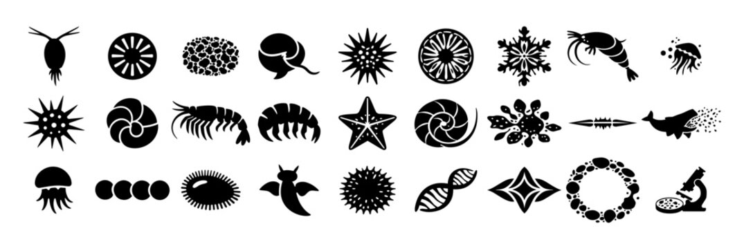 Decorative Plankton Silhouettes Set &ndash; Marine Microorganisms, Radiolaria, Diatoms, Ocean Biology Icons Collection Icon set