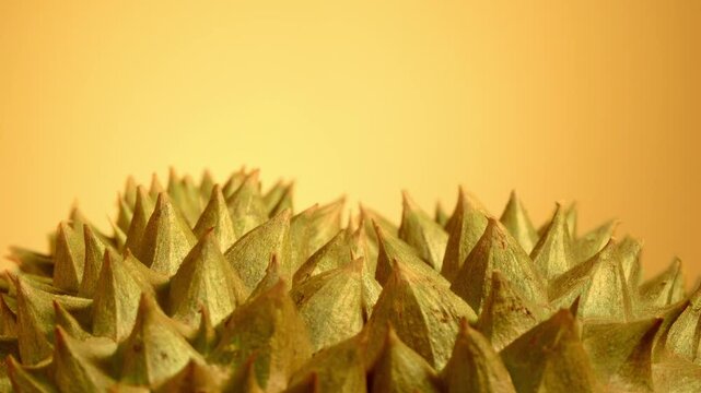 Macro Extreme Close-up of Symmetrical Durian Thorny Husk Texture, Tropical King of Fruits Prickly Skin Detail on Golden Background