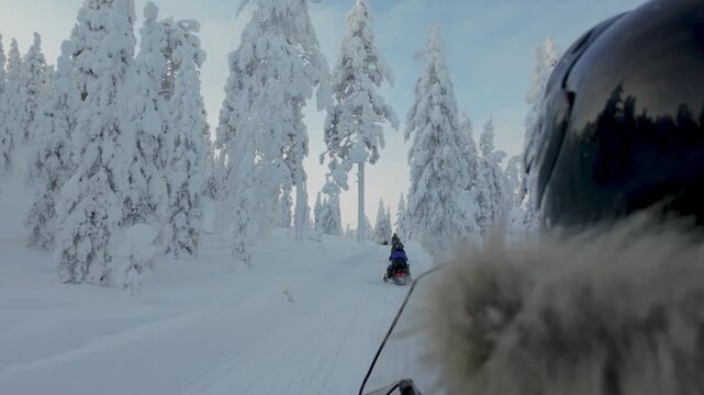 Experience the thrill of snowmobiling through a breathtaking blanket of snow in Akaslompolo, Lapland. Towering trees coated in frost create a magical winter wonderland.