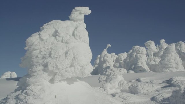 蔵王スキー場 地蔵山の樹氷