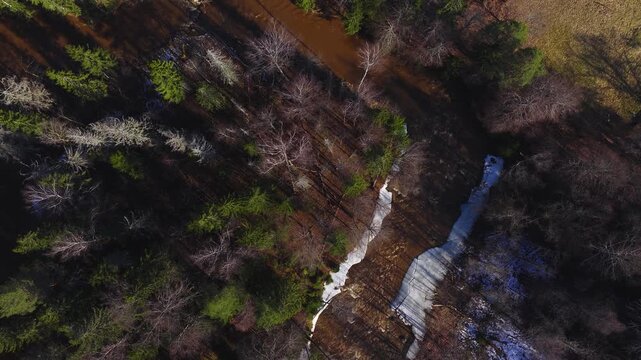 Aerial drone view shows a brown river winding through spruce and birch in Latvia. Snow and ice cling to banks, ripples move, long golden hour shadows pattern the scene.