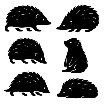 Echidna Silhouette Vector Set, Spiny Anteater Poses Collection, Standing Walking and Foraging Echidna Icons, Minimalist Black Wildlife Illustrations for Logo and Design, Australian Fauna Graphics