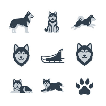 Minimalist flat icon set of Alaskan Malamutes or Siberian Huskies in various poses including standing, sitting, running, and lying down, with a dog sled and paw print icon.