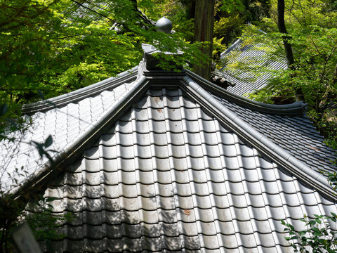 Tiled roof of traditional Japanese wooden pavilion surrounded by green trees in springtime