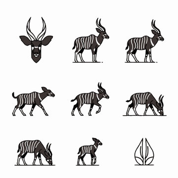 Minimalist mountain bongo antelope vector illustrations in multiple poses like walking, grazing, and standing, with a head portrait, a calf, and a cloven hoof print, on white.