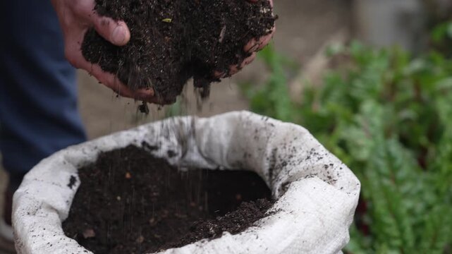 Worm compost substrate. Vermicompost high-grade fertilizer for improved soil fertility