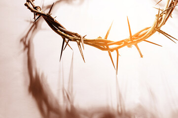 Crown of thorns casting a distinct shadow a white background, creating a symbolic easter image of...