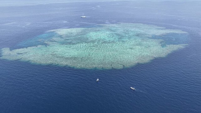 Seen from a bird's eye view, an impressive platform reef, named "E6," sits in the midst of the Bligh Channel east of Viti Levu, Fiji. The reef is home to extensive coral growth and fish diversity.