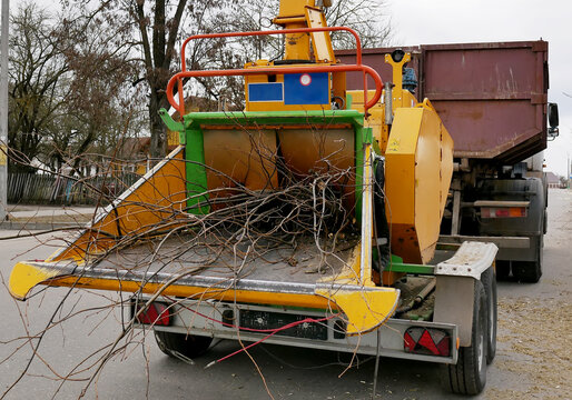Wood chipper machine releasing the shredded woods into a truck chipper machine to remove