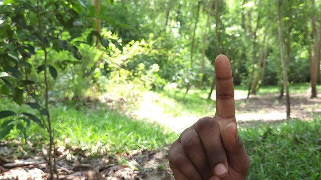 Human hand showing three fingers gesture outdoors in natural environment, close up of hand sign representing number three, counting, symbol, communication and body language concept in India