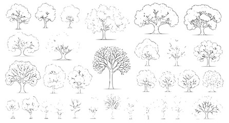 Tree Set Botanical Elements Tree Elevation Landscape Vector Icons Collection © BadhanChandra