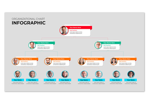 Colorful Organizational Chart Infographic