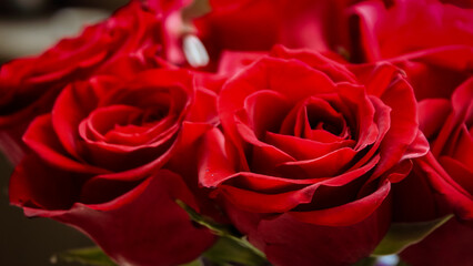 Naklejka premium A bouquet of vibrant red roses in full bloom, commonly used as a symbol of love and passion. Valentine's Day, Anniversary or special occasion background banner.