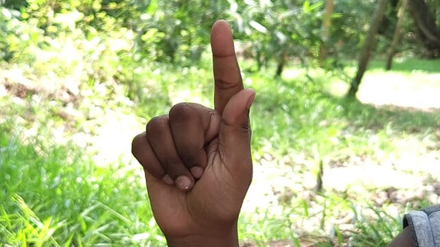 Human hand showing three fingers gesture outdoors in natural environment, close up of hand sign representing number three, counting, symbol, communication and body language concept in India