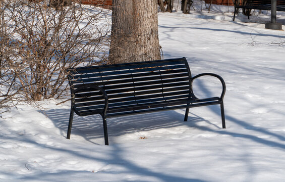 Empty black metal park bench resting in a pristine blanket of white snow on a sunny winter day, surrounded by leafless trees and long shadows, evoking solitude and cold tranquility.