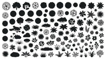 Fototapeta premium Top View Landscape Architecture Tree and Shrub Silhouette Vector Set: Garden Plan Symbols