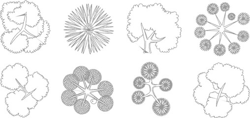 Obraz premium Eight stylized down views of trees and botanical in grey line plant nature