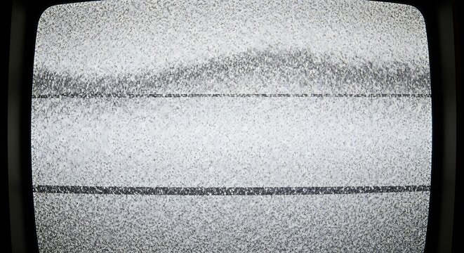 A black and white television screen with static