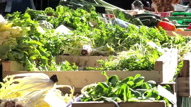 Display of fresh green organic vegetables at outdoor farmers market 