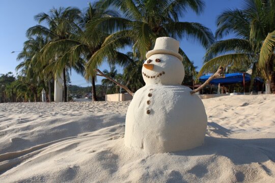 Sand snowman beach palm trees tropical seaside sunshine summer sculpture vacation coast sandman