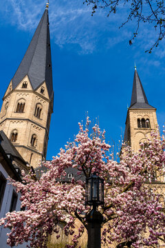 Fr&uuml;hling am Bonner M&uuml;nster