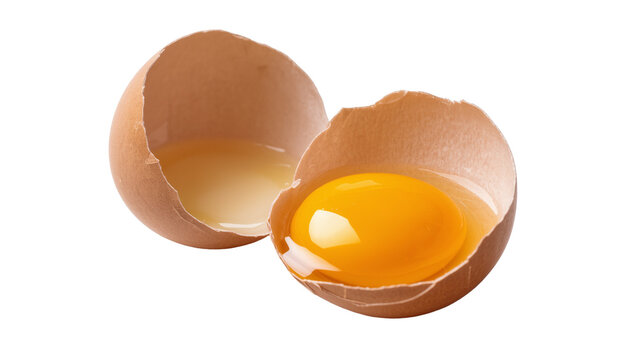 Isolated fresh raw chicken egg cracked in two halves with bright yellow yolk and albumen