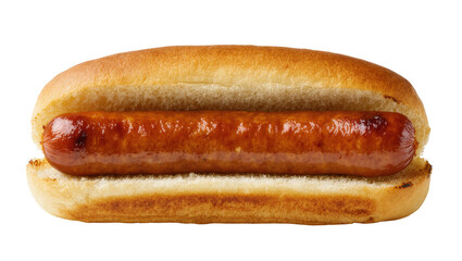 Isolated classic American grilled hot dog in a toasted bun, ready for delicious condiments