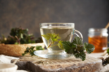 A cup of nettle tea with fresh plant collected in spring