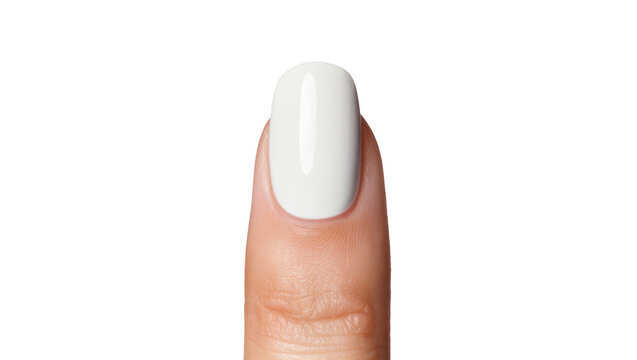 Isolated single finger showcasing a freshly applied glossy white nail polish manicure.