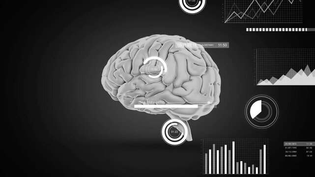 Rotating 3D brain showing gyri, sulci and brainstem in dark gradient backdrop, with HUD overlays