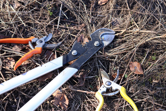 A lopper and two pruners lie on the ground, top view. Hand tools for gardening. A set of garden tools laid out on dry grass and leaves. A large lopper with long metal handles. Tree pruning