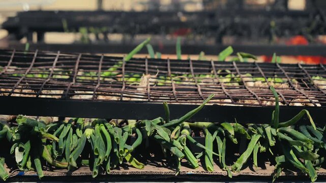 Traditional Catalan green onion calcot, The Calcotada de Valls Festival, annual event that celebrates this tradition, usually at the end of January. Close-up of grilled green onions. High quality 4k