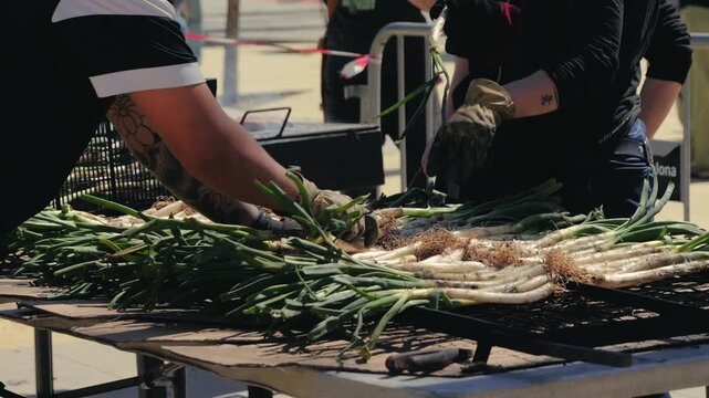 Traditional Catalan green onion calcot, The Calcotada de Valls Festival, annual event that celebrates this tradition, usually at the end of January. Close-up of grilled green onions. High quality 4k