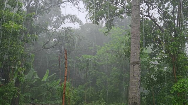 Heavy Monsoon Rainfall on Rural Village Road with Parked Motorcycle, Tropical Countryside During Rainstorm, Wet Landscape, Nature, India