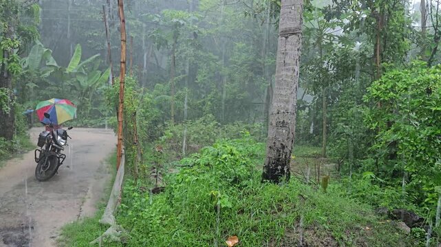 Heavy Monsoon Rainfall on Rural Village Road with Parked Motorcycle, Tropical Countryside During Rainstorm, Wet Landscape, Nature, India