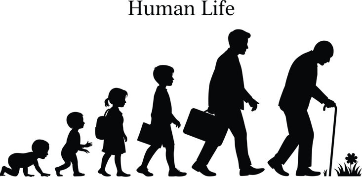 Human Evolution Silhouette from Child to Old Man