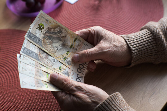 A senior, an elderly person, holds Polish money in his hands.
