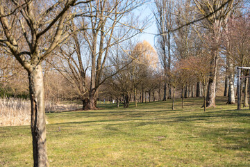 Fototapeta premium A peaceful park scene with trees casting shadows across a grassy hill. Early spring vegetation and warm sunlight create a tranquil environment.