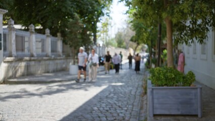 Obraz premium Sunlit tree lined cobblestone street, soft defocused bokeh outdoor; background backdrop copyspace backplate calm.