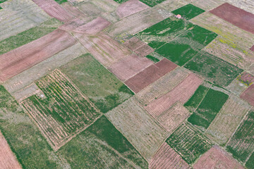 Fototapeta premium Aerial view of agricultural plots during planting season on high Andean plateaus