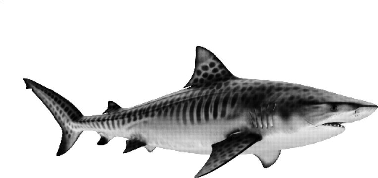 Shark Halftone Illustration Isolated on White Background