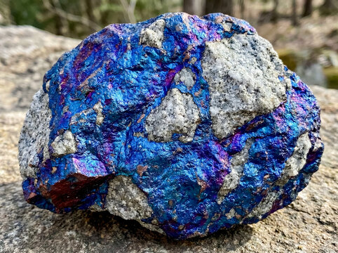 Massive bornite aggregate with intense bright tarnish on light gray granular quartzite.