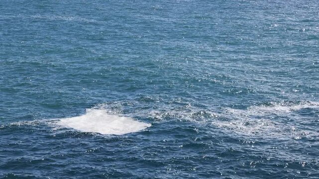 Large waves from Storm Therese impacting coastal area and shoreline infrastructure.