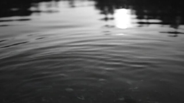 Black and white close up of water with ripples caused by something falling into the surface creating an abstract look.
