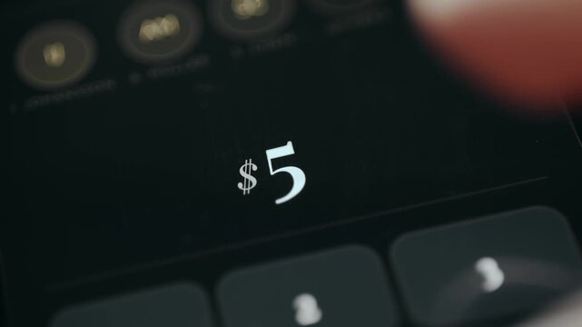 Person introduces a numerical value representing a currency amount