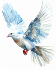 Obraz premium Watercolor Painting of a White Dove in Flight with Blue Accents and Red Feet